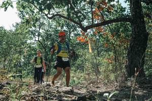 BIB: 
                            <button type="button" onclick="openModal(26113349)" class="btn btn-primary btn-sm float-right btn-popup" data-toggle="modal" data-target=".modal-high-quality">
                        <i class="fas fa-shopping-cart"></i> Add to Cart
                    </button>
                                            <button type="button" onclick="isThisMe(26113349, true)" class="btn btn-success btn-sm float-right btn-popup btn-isme hidden" data-toggle="tooltip" data-placement="bottom" title="นี่คือรูปของคุณใช่ไหม คลิกที่นี่เพื่อเอาเข้าอัลบั้ม">
                        <i class="fas fa-plus"></i> Add to album
                    </button>
                    <button type="button" onclick="isThisMe(26113349, false)" class="btn btn-warning btn-sm float-right btn-popup btn-isnotme hidden">
                        <i class="fas fa-ban"></i> Remove from album
                    </button>